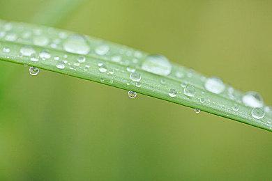 拳头称《Valorant》地图重复出现问题现已解决